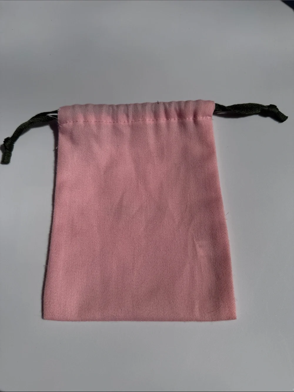 kate spade Dust Bag